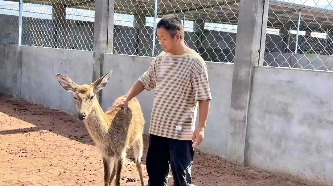 老虎机吐分规则